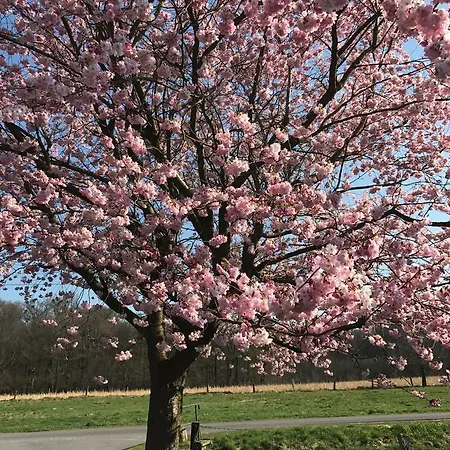 Am Waldrand Schuettorf