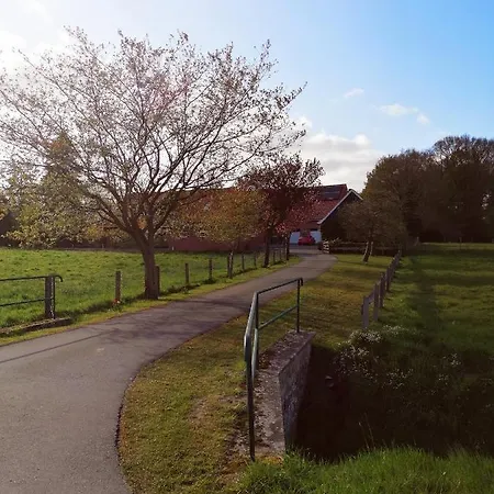 Am Waldrand